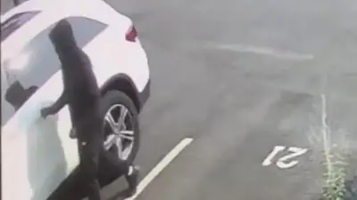 WATCH: Police looking to ID suspect after dozens of vehicles vandalized in Quincy