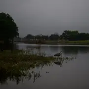 Heavy Rain Pounds Central Texas, Prompting Rescuers to Pause Search Efforts