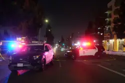 After plowing his car into a crowd outside an LA nightclub, the driver was beaten and shot by bystanders, police say