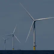 Transportation Dept. Cancels $679 Million for Offshore Wind Projects